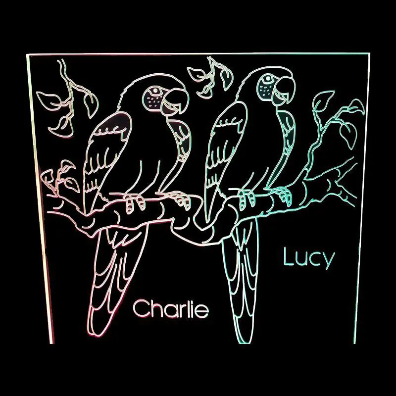 Eclectus - Acrylic Led
