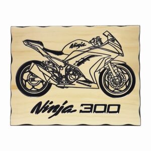 Ninja 300 - Timber Sign