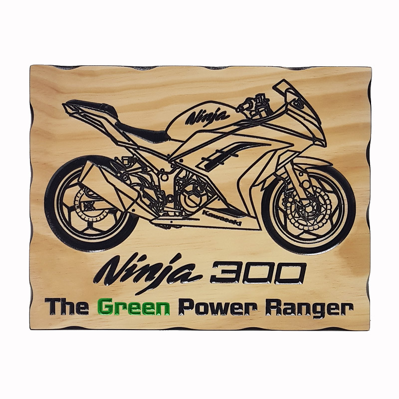 Ninja 300 TheGreen Power Ranger front